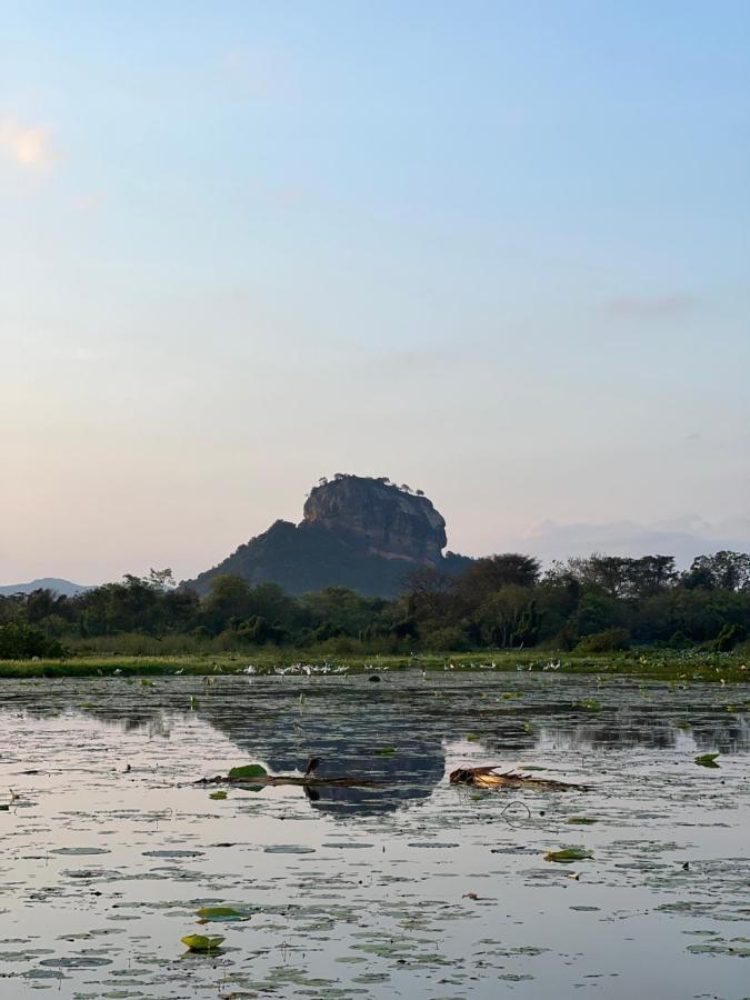 Gold Crown Residence Dambulla Kültér fotó
