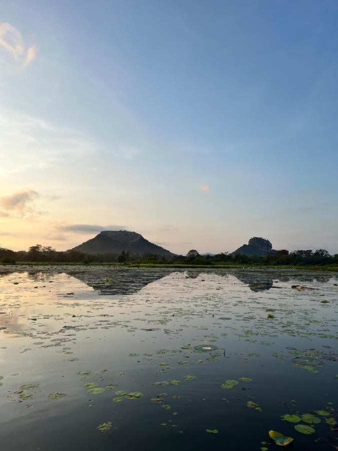 Gold Crown Residence Dambulla Kültér fotó